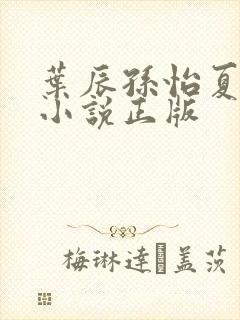 叶辰孙怡夏若雪小说正版