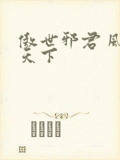 傲世邪君 风凌天下封面