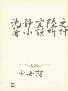 沈静宜陆之远原著小说叫什么