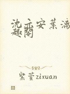 沈亦安叶漓烟笔趣阁封面