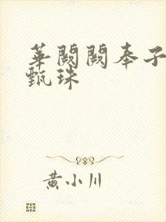 华阙阙奉子成婚甄珠封面