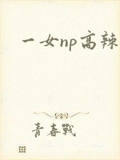 一女np高辣