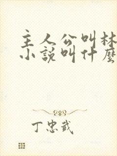 主人公叫林峰的小说叫什么名字