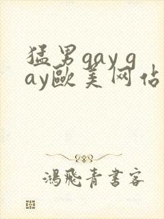 猛男gay gay欧美网站