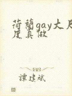 荷兰gay大尺度真做