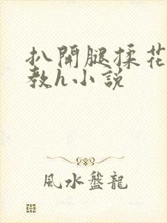 扒开腿揉花蒂调教h小说