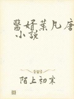 医婿叶凡唐若雪 小说