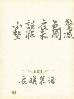 小说夜色惊人完整版未删减小说