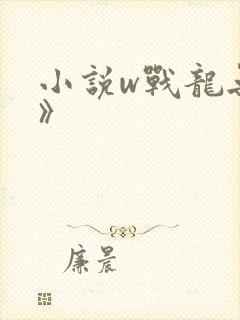 小说w战龙无双》封面