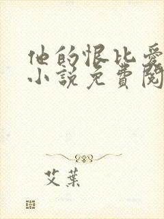 他的恨比爱长久小说免费阅读封面