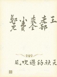 郑小爽老王小说免费全部封面