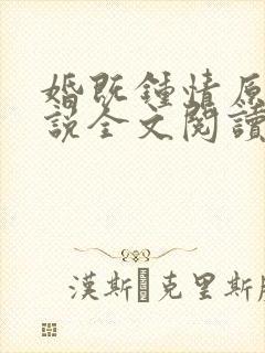 婚既钟情原著小说全文阅读