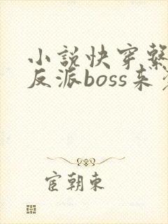小说快穿系统之反派boss来袭全文