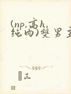 (np,高h,纯肉)双男主