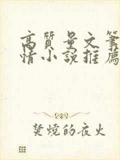 高质量文笔好言情小说推荐