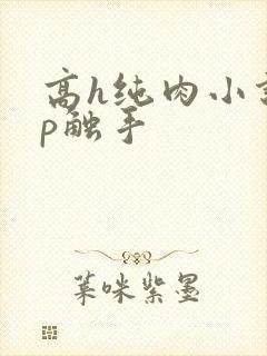 高h纯肉小说np触手