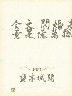 全文 闪婚老公竟是亿万总裁封面
