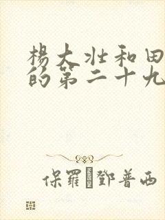 杨大壮和田桂花的第二十九封面