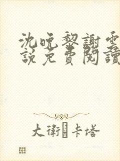 沈晚黎谢云迟小说免费阅读