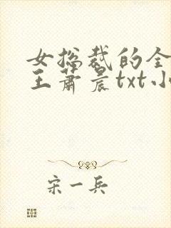 女总裁的全能兵王萧晨txt小说下载封面