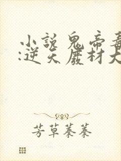 小说 鬼帝毒妃:逆天废材大姐大