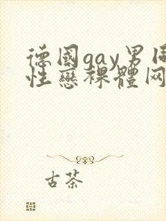 德国gay男同性恋裸体网站封面