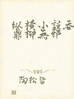 纵横小说吞天神鼎柳无邪