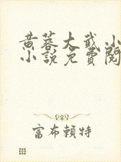 黄蓉大武小 武小说免费阅读