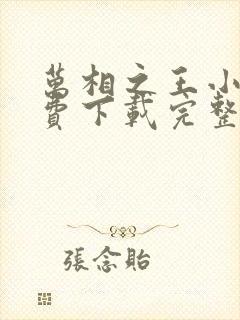 万相之王小说免费下载完整版