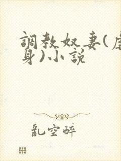 调教奴妻(虐女身)小说