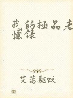 我的极品老婆回忆录