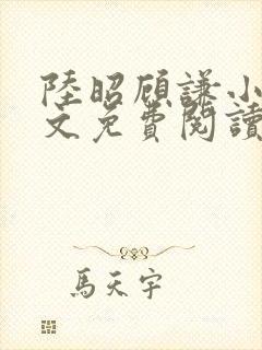 陆昭顾谦小说全文免费阅读封面