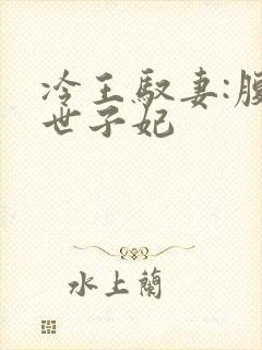 冷王驭妻:腹黑世子妃