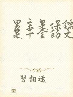 男主是保镖女主是千金的文封面