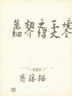 万相之王境界详细介绍大全