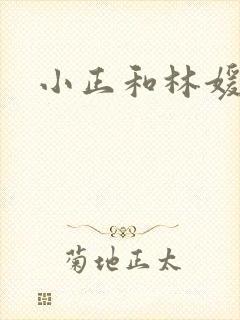 小正和林媛小说
