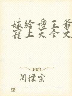 嫁给傻王爷后被宠上天全文免费阅读