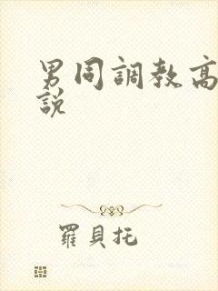 男同调教高h小说