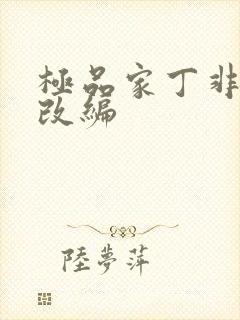 极品家丁非绿版改编