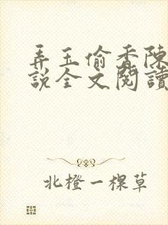 弄玉偷香陈敏小说全文阅读