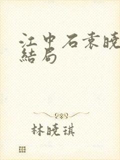 江中石袁晓夏大结局