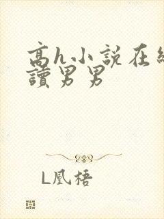 高h小说在线阅读男男
