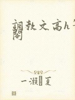 调教文高h笔趣阁