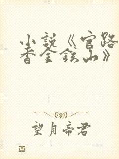小说《官路女人香金铉山》封面