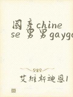 国产chinese 男男gaygay