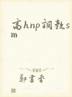 高hnp调教sm