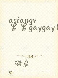 asiangv男男gaygay网站