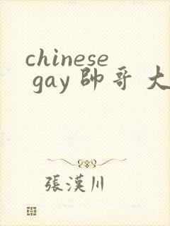 chinese gay 帅哥 大