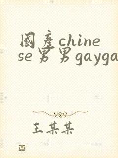 国产chinese男男gaygay在线观看