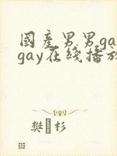 国产男男gaygay在线播放搜索